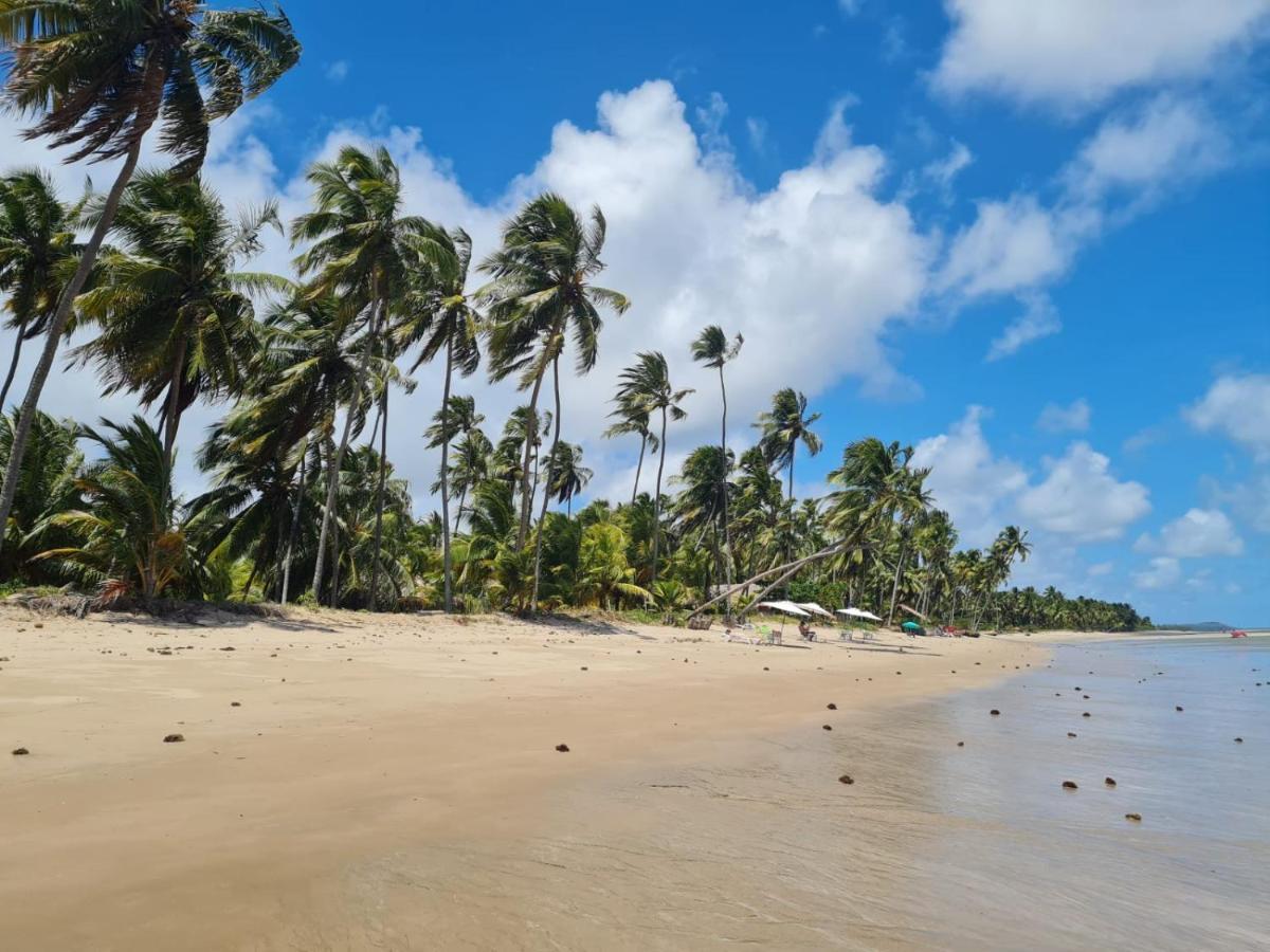 Vista Do Patacho, A 100M Da Praia Do Patacho Pôrto de Pedras 외부 사진